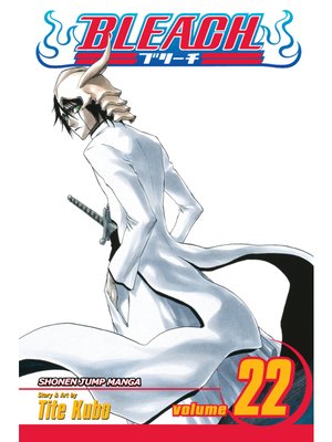cover image of Bleach, Volume 22